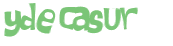 Captcha-Test