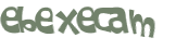 CAPTCHA 挑戰