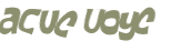 Prueba Captcha