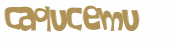 CAPTCHA-haaste