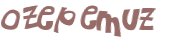 CAPTCHA 挑戰