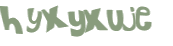 CAPTCHA 挑戰