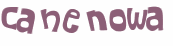 CAPTCHA-haaste