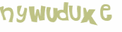Wyzwanie captcha