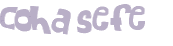 Prueba Captcha