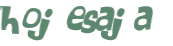 Wyzwanie captcha