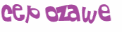 Desafio captcha