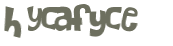 CAPTCHA 挑戰