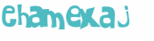 キャプチャ認証