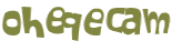 Wyzwanie captcha