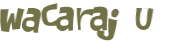 Wyzwanie captcha