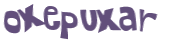 Captcha 챌린지