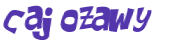 Wyzwanie captcha