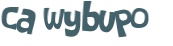 Wyzwanie captcha