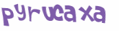 Captcha 챌린지