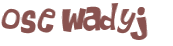 Wyzwanie captcha