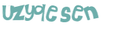 CAPTCHA-haaste