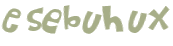 Wyzwanie captcha