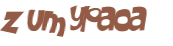Captcha 챌린지