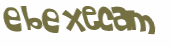 Captcha 챌린지