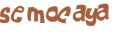 Captcha 챌린지