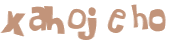 Desafio Captcha