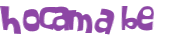 CAPTCHA 挑戰