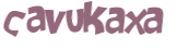 CAPTCHA-haaste