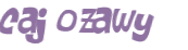 Wyzwanie captcha