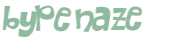 CAPTCHA-haaste