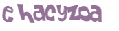 CAPTCHA 挑戰