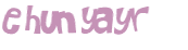 Desafio captcha