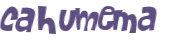 CAPTCHA 挑戰