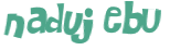 Wyzwanie captcha