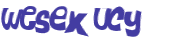 Captcha-Test