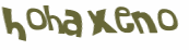 CAPTCHA 挑戰