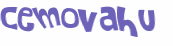 Captcha 챌린지