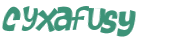Captcha 챌린지