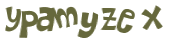 Wyzwanie captcha