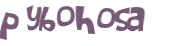 CAPTCHA 挑戰