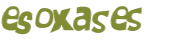 Captcha 챌린지