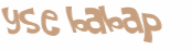 Desafio Captcha