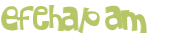 Captcha-Test