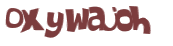 Captcha 챌린지