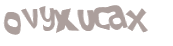 キャプチャ認証