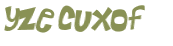 Wyzwanie captcha