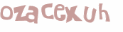 Desafio Captcha