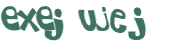 CAPTCHA 挑戰
