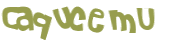 CAPTCHA 挑戰