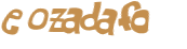 Captcha 챌린지
